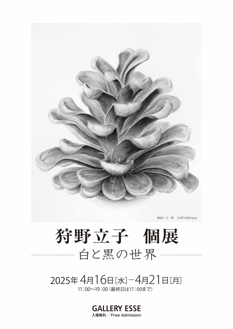狩野立子個展―白と黒の世界―イメージ画像