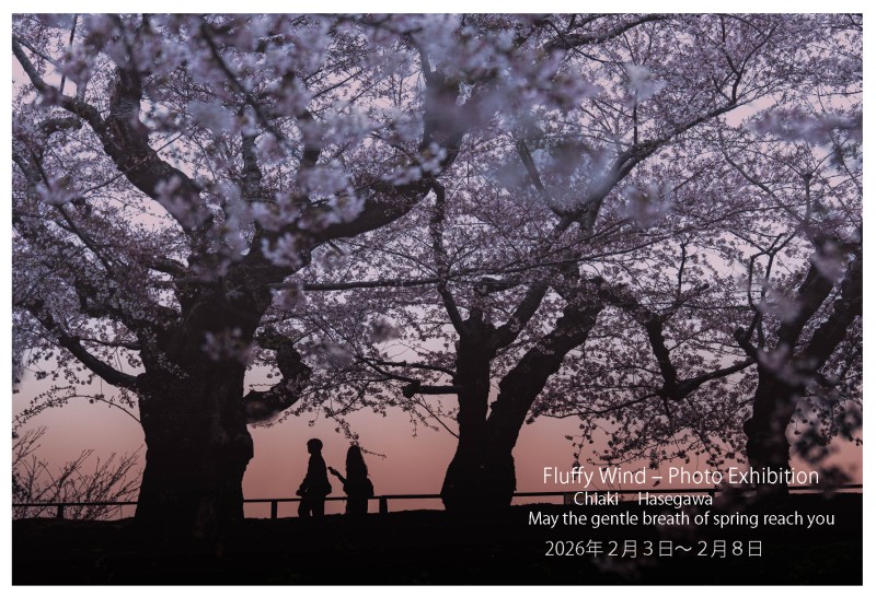 Fluffy  wind‐Photo Exhibitionイメージ画像