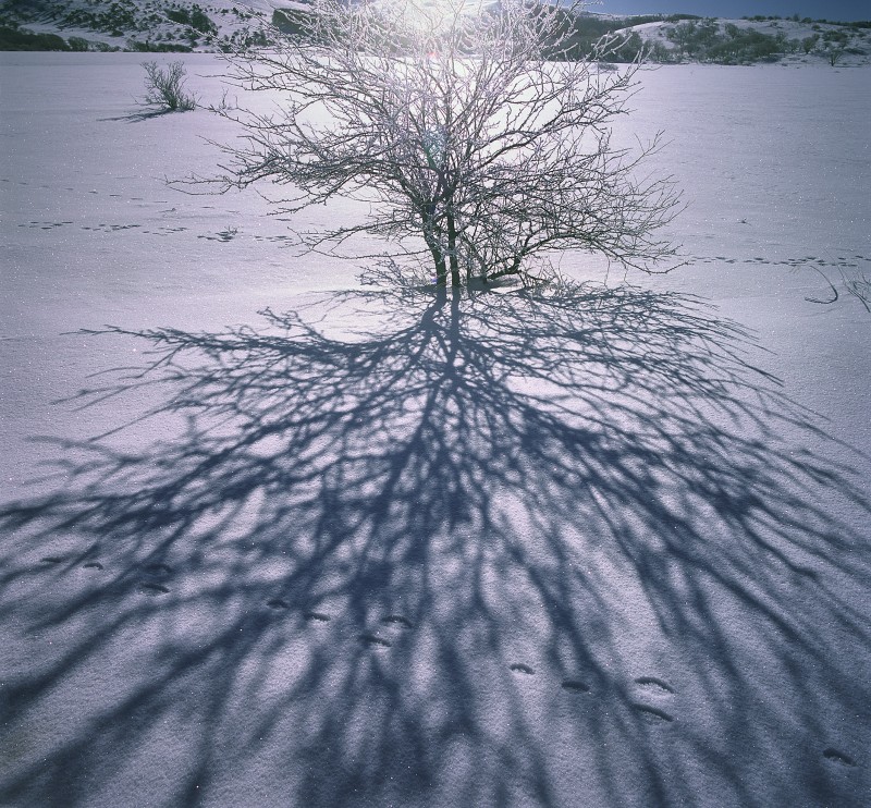 『風景写真祭2026』イメージ画像