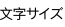 文字サイズ