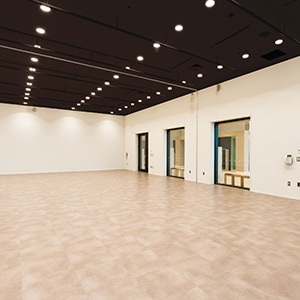 M-Stone Minerals in 札幌サムネイル画像