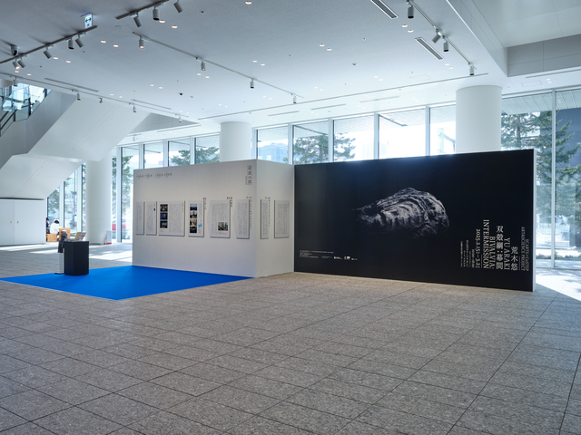 SCARTS×CoSTEPアート＆サイエンスプロジェクト 荒木悠　双殻綱：幕間　BIVALVIA: INTERMISSIONイメージ画像1