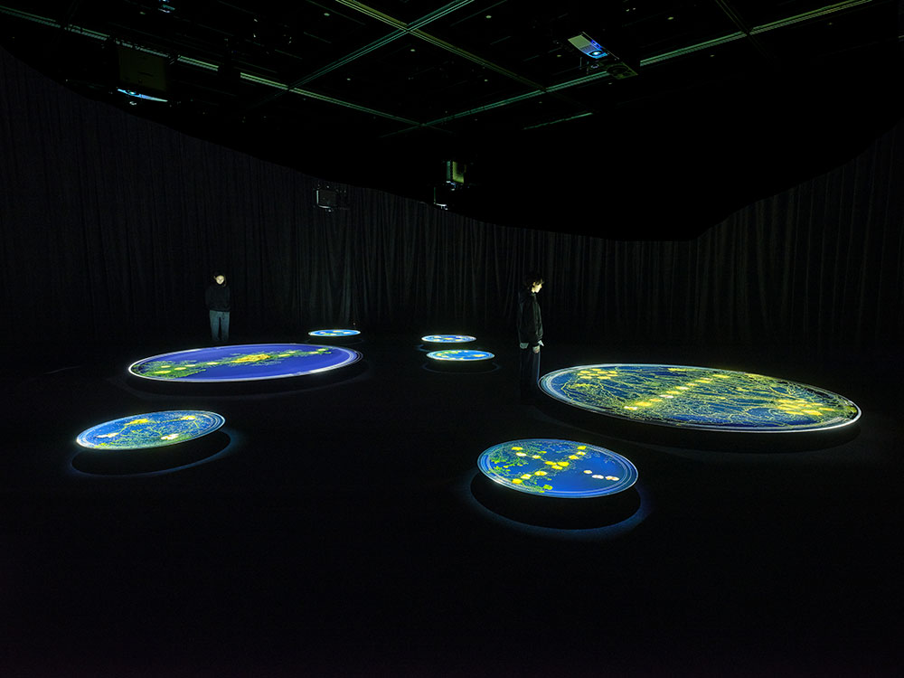 SCARTS×CoSTEPアート&サイエンスプロジェクト 市原佐都子『肉の上を粘菌は通った』イメージ画像6