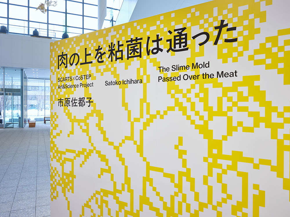SCARTS×CoSTEPアート&サイエンスプロジェクト 市原佐都子『肉の上を粘菌は通った』イメージ画像1