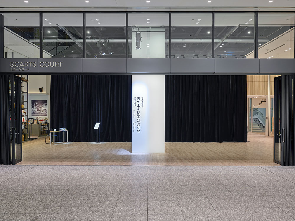 SCARTS×CoSTEPアート&サイエンスプロジェクト 市原佐都子『肉の上を粘菌は通った』イメージ画像3