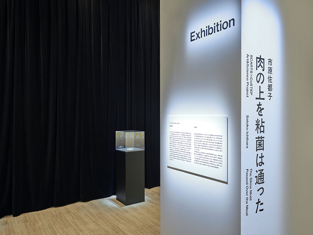 SCARTS×CoSTEPアート&サイエンスプロジェクト 市原佐都子『肉の上を粘菌は通った』イメージ画像4