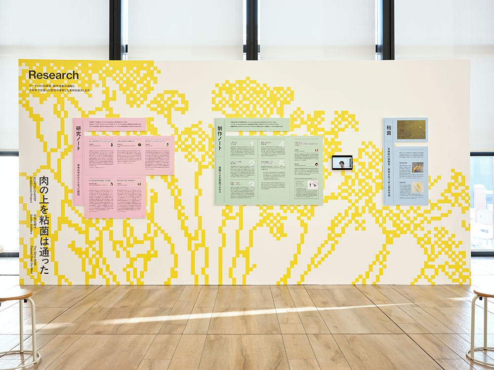 SCARTS×CoSTEPアート&サイエンスプロジェクト 市原佐都子『肉の上を粘菌は通った』イメージ画像13