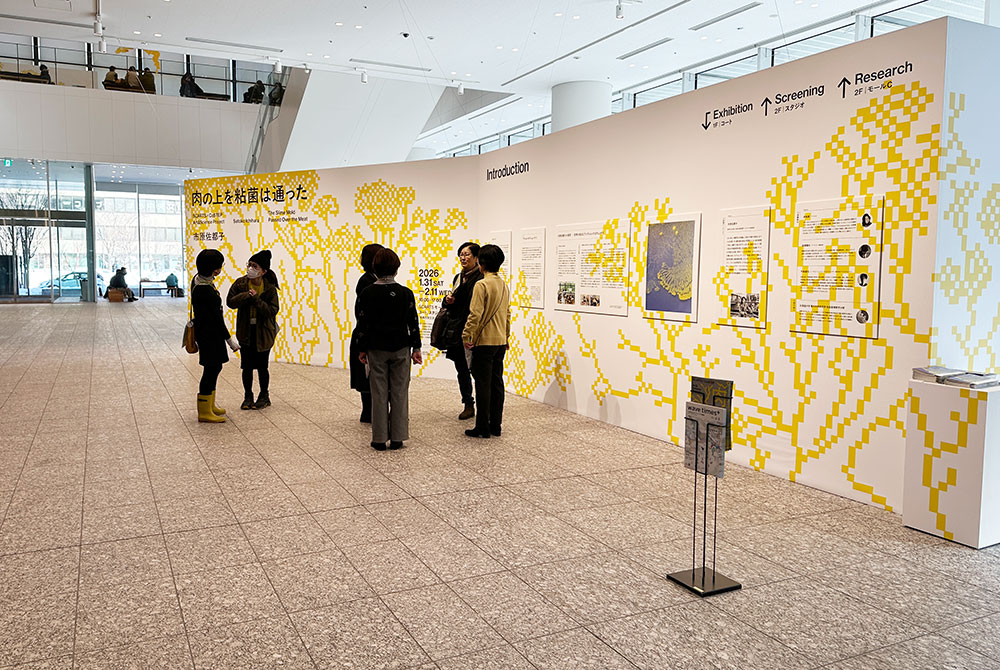 SCARTS×CoSTEPアート&サイエンスプロジェクト 市原佐都子『肉の上を粘菌は通った』イメージ画像6