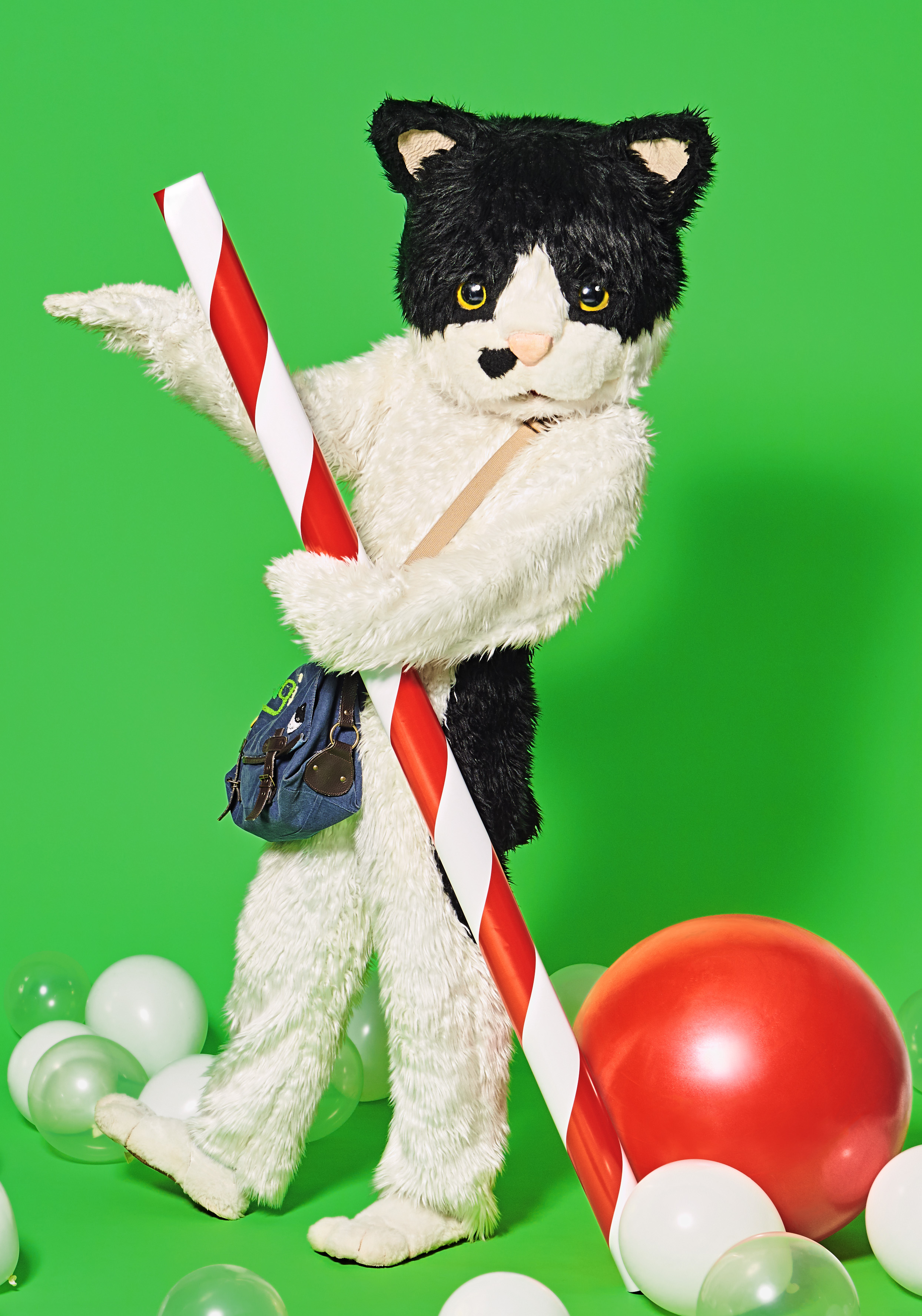 むぎ（猫）TOUR ～君に会いに～イメージ