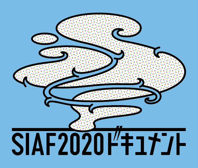 札幌国際芸術祭2020特別編展示「SIAF2020ドキュメント」イメージ