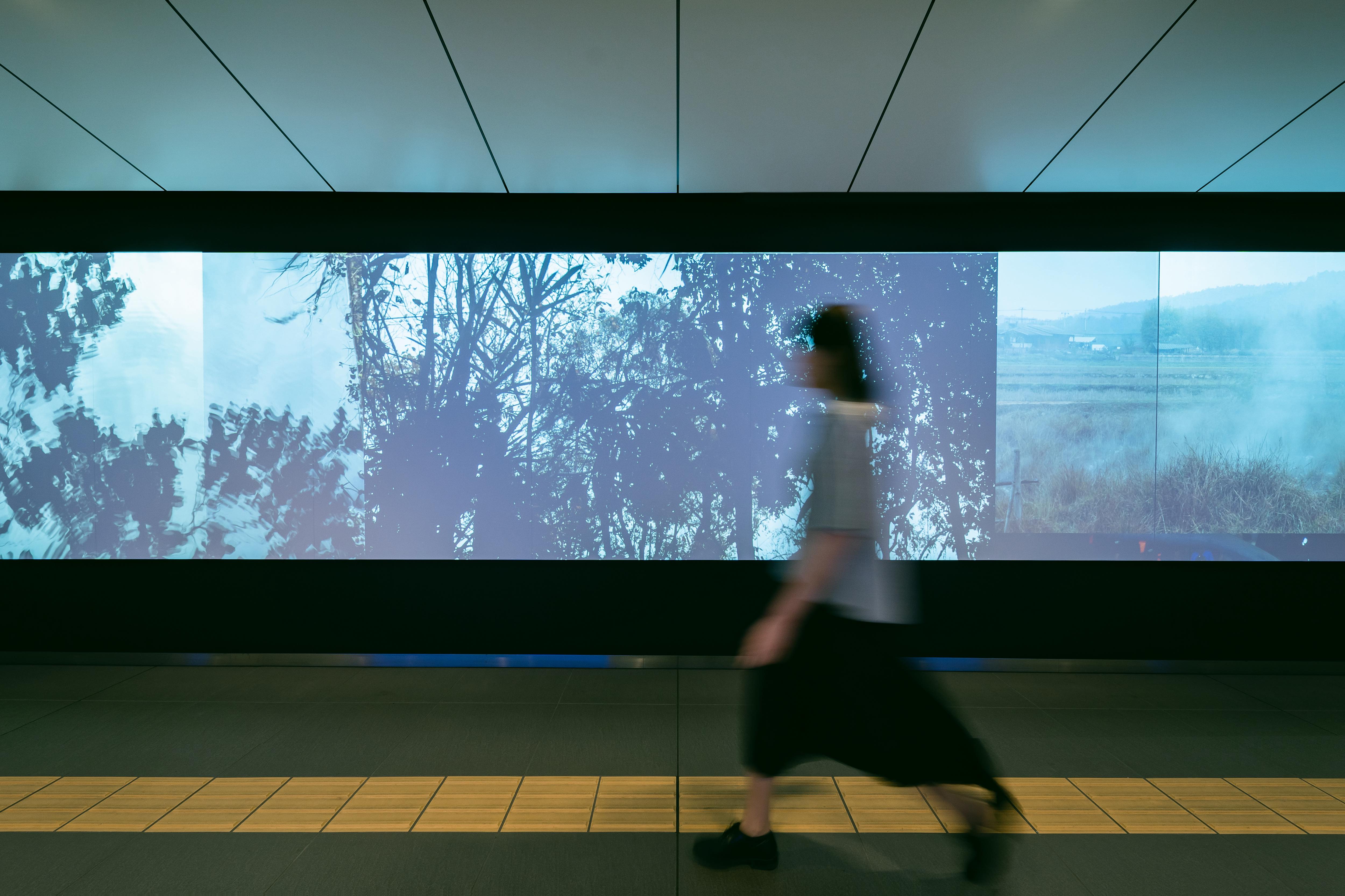 撮影：Kenzo Kosuge / 作品：アピチャッポン・ウィーラセタクン 《憧れの地 / The Longing Field》