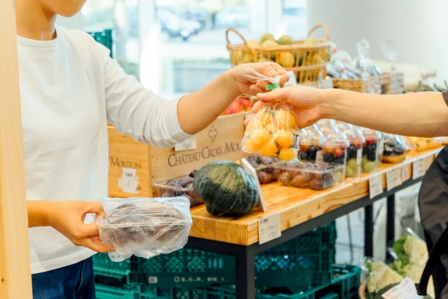 プラザフェスティバル2025 MORIHICO. マルシェ・ドゥ・グルニエ×プラザ・マルシェイメージ2枚目