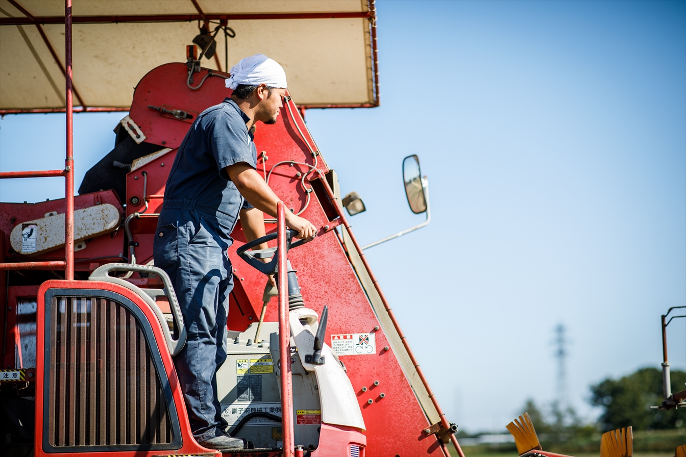 未来へ紡ぐ札幌農業　 　　～“札幌黄”　伝統を価値に変える若手農業者の挑戦～イメージ4枚目