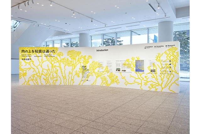 SCARTS×CoSTEPアート&サイエンスプロジェクト 市原佐都子『肉の上を粘菌は通った』イメージ画像